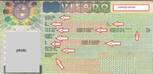 Читаем шенгенскую визу